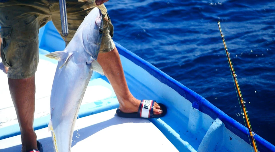 Persona mostrando una captura desde una lancha de pesca