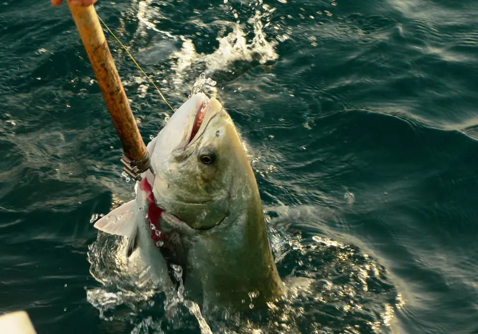 Persona disfrutando de la pesca recreativa en la costa